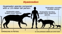 Hyaenodon (the famous “wargs” or dog-horse of Orcs Tolkien’s Middle-Earth) were al extinct around this time