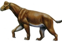 Tylocephalonyx, notable for its dome-shaped skull, went into extinction 13.6 Mya