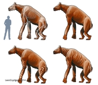 The unusual Chalicotherium went into extinction around this time