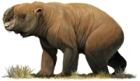 Diprotodon optatum, the largest marsupial ever to live. Illustration: Alamy