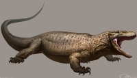 Megalania, a carnivorous giant lizard, could measure up to 7 meters long