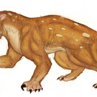 The Marsupial Lion had deadly retractable claws, and hunted by dropping himself from trees into prey