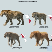 The Cave Lion (bottom left) lived along the American Lion and Smilodon for thousands of years
