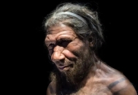 How Neanderthals may have look like