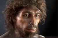 Homo rhodesiensis reconstruction based on Kabwe cranium discovered in Northern Rhodesia (present-day Zambia) - S.Entressangle/E.Daynes/SPL