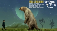 Ground Sloths, Megalonyx versus Homo instagramer, they stood up to 6 meters tall