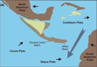 Central American volcanic arc in the Early Miocene (20 Ma, pre-collision)