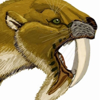Sparassodonta was the order of carnivorous to which the Thylacosmilus was a member of