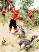 Dodos were easily killed by sailors just before lunch, “as dead as a dodo”. Its eggs prey of rats and dogs introduced by humans I the Mauritius island 
